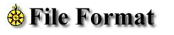 File Format